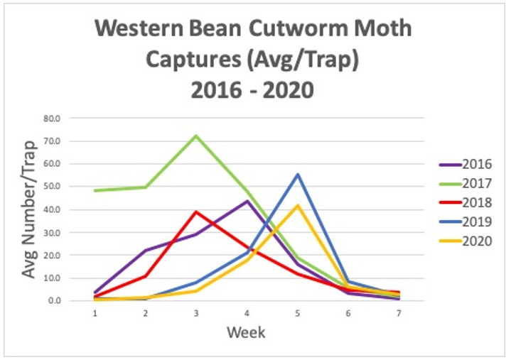 Purdue's trapping network